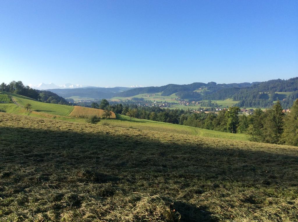 Landcafe Mit Mini Hotel Burgdorf Luaran gambar