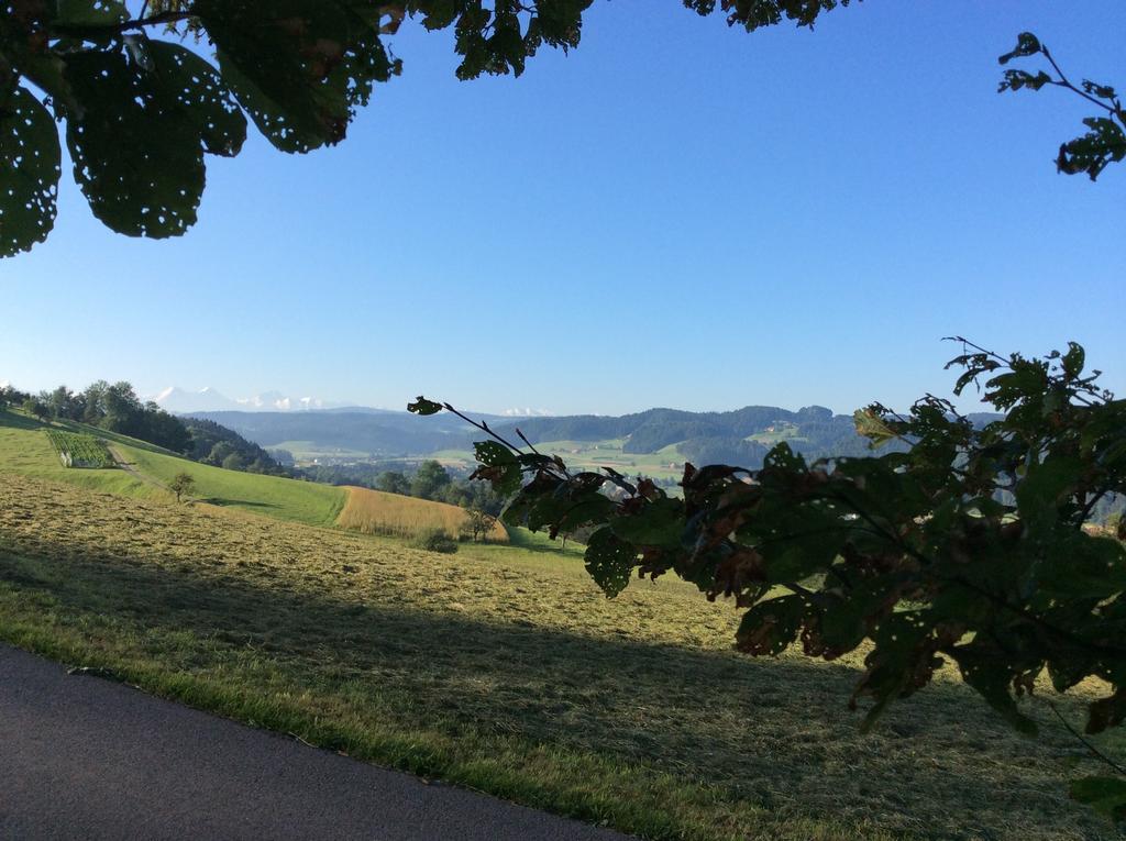 Landcafe Mit Mini Hotel Burgdorf Luaran gambar